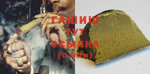 индика Бугульма